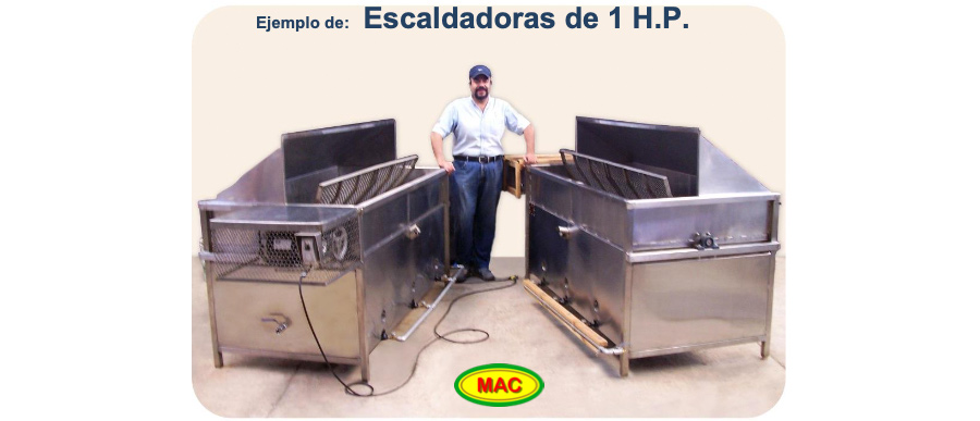 ejemplo-de-escaldadora-reforzada-1hp